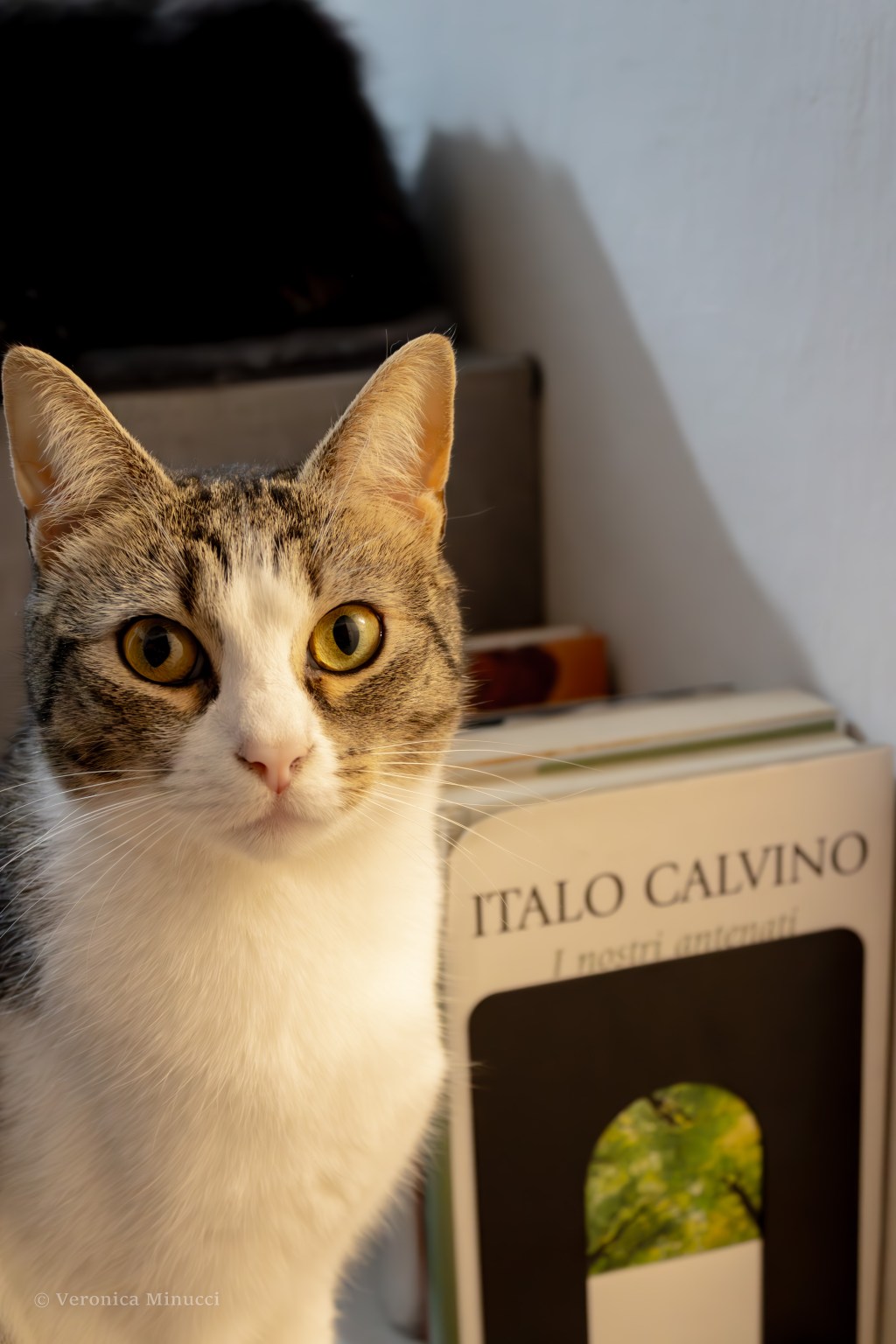 In her eyes, I find you again