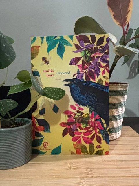 Cozying up with Weyward: My January Book Pick